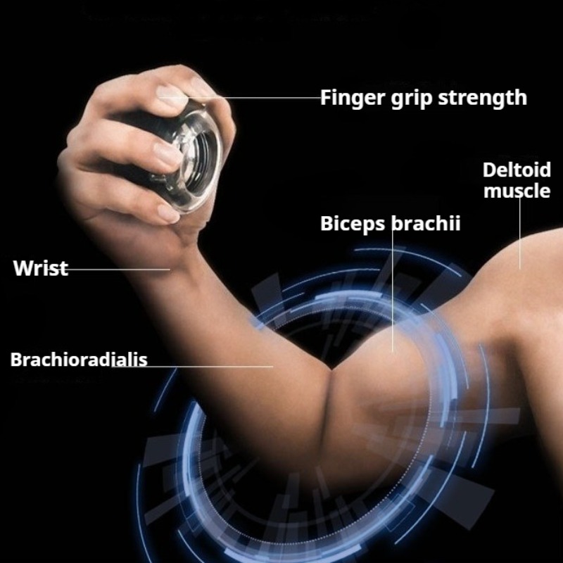 Bola Pergelangan Tangan Gyro A - Sports Equipment That Starts With A ulasan dan harga