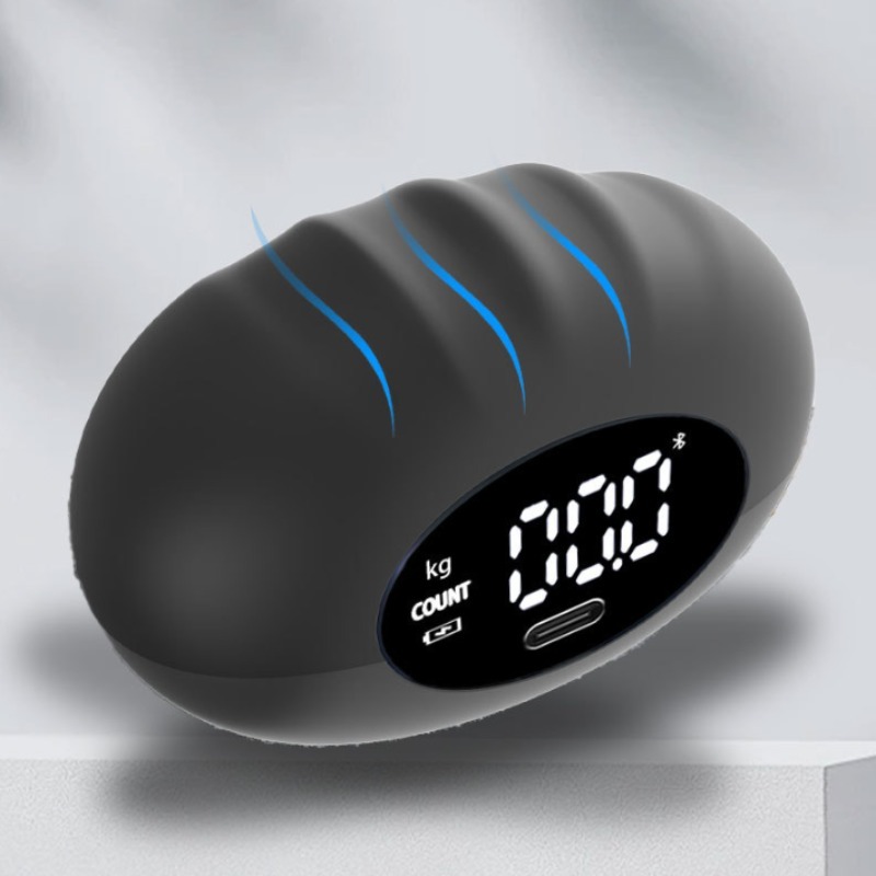 Dinamometer Tangan Digital Erg - Sports Equipment Images ulasan dan harga